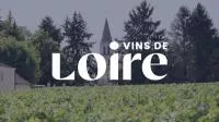 vin de loire vignette