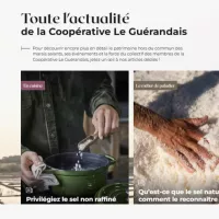 paragraphe actualites le guerandais