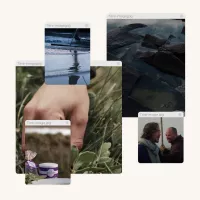 photos site le guerandais absolu