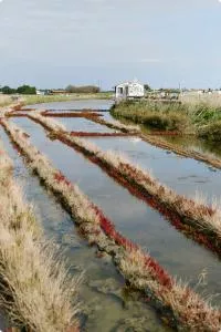 marais-noirmoutier