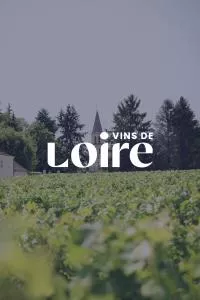 vin de loire vignette